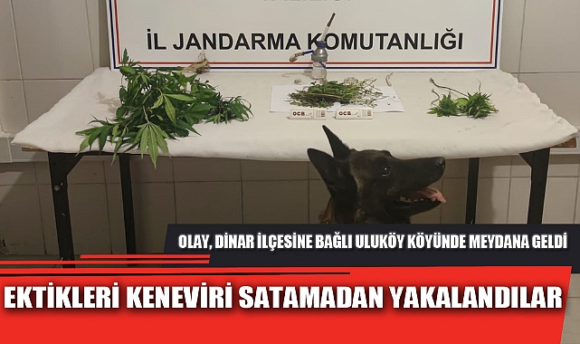 EKTİKLERİ KENEVİRİ SATAMADAN YAKALANDILAR