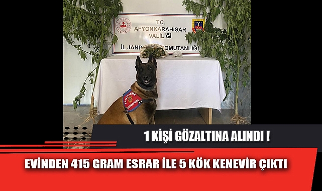 EVİNDEN 415 GRAM ESRAR İLE 5 KÖK KENEVİR ÇIKTI