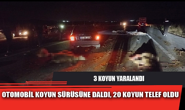 OTOMOBİL KOYUN SÜRÜSÜNE DALDI, 20 KOYUN TELEF OLDU