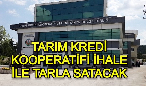 TARIM KREDİ KOOPERATİFİ İHALE İLE TARLA SATACAK