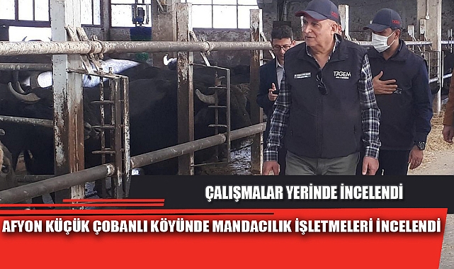AFYON KÜÇÜK ÇOBANLI KÖYÜNDE MANDACILIK İŞLETMELERİ İNCELENDİ