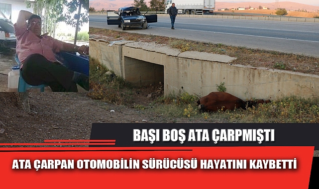 ATA ÇARPAN OTOMOBİLİN SÜRÜCÜSÜ HAYATINI KAYBETTİ