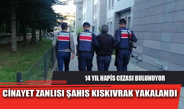 CİNAYET ZANLISI ŞAHIS KISKIVRAK YAKALANDI
