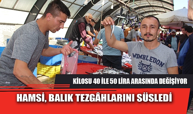 HAMSİ, BALIK TEZGÂHLARINI SÜSLEDİ