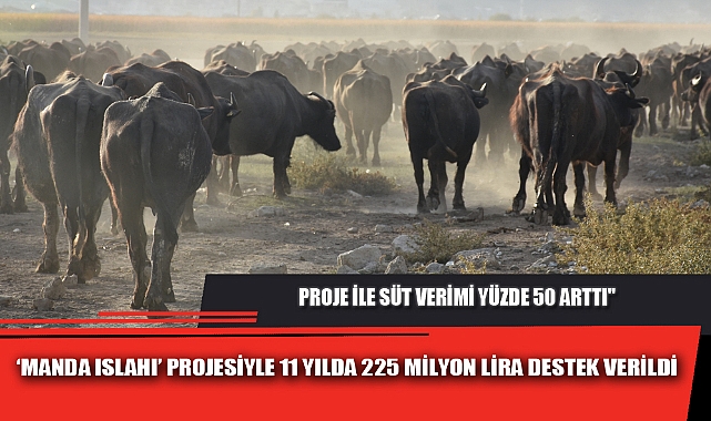 ‘MANDA ISLAHI’ PROJESİYLE 11 YILDA 225 MİLYON LİRA DESTEK VERİLDİ