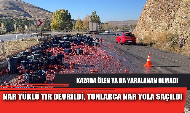 NAR YÜKLÜ TIR DEVRİLDİ, TONLARCA NAR YOLA SAÇILDI