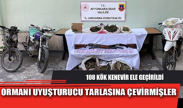 ORMANI UYUŞTURUCU TARLASINA ÇEVİRMİŞLER
