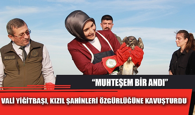 VALİ YİĞİTBAŞI, KIZIL ŞAHİNLERİ ÖZGÜRLÜĞÜNE KAVUŞTURDU