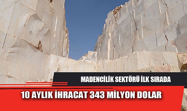 10 AYLIK İHRACAT 343 MİLYON DOLAR