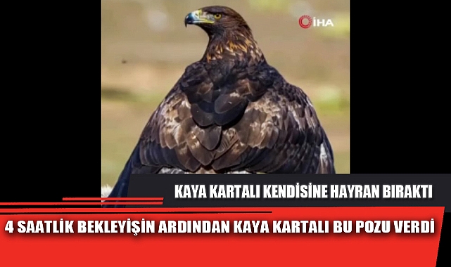 4 SAATLİK BEKLEYİŞİN ARDINDAN KAYA KARTALI BU POZU VERDİ
