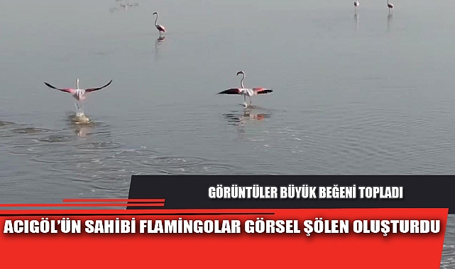 ACIGÖL’ÜN SAHİBİ FLAMİNGOLAR GÖRSEL ŞÖLEN OLUŞTURDU