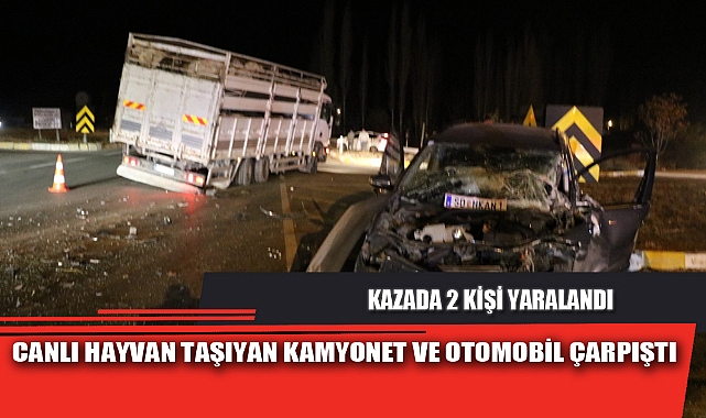 CANLI HAYVAN TAŞIYAN KAMYONET VE OTOMOBİL ÇARPIŞTI