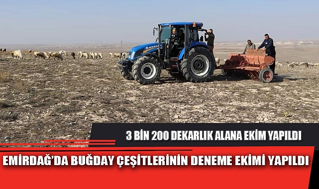 EMİRDAĞ’DA BUĞDAY ÇEŞİTLERİNİN DENEME EKİMİ YAPILDI