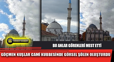 GÖÇMEN KUŞLAR CAMİ KUBBESİNDE GÖRSEL ŞÖLEN OLUŞTURDU