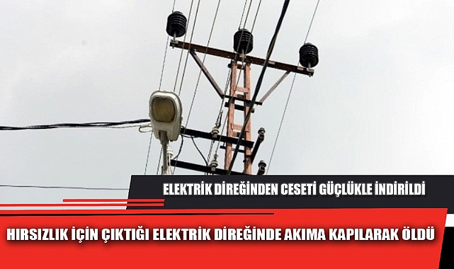 HIRSIZLIK İÇİN ÇIKTIĞI ELEKTRİK DİREĞİNDE AKIMA KAPILARAK ÖLDÜ