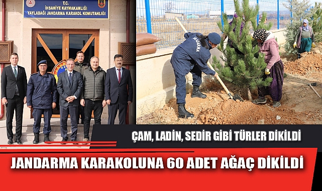 JANDARMA KARAKOLUNA 60 ADET AĞAÇ DİKİLDİ