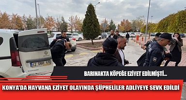 KONYA'DA HAYVANA EZİYET OLAYINDA ŞÜPHELİLER ADLİYEYE SEVK EDİLDİ
