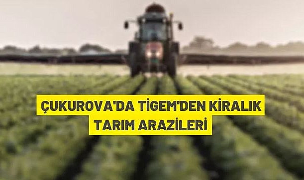 TİGEM'E AİT 4.430 DEKAR TARIM ARAZİSİ 2023 ÇALIŞMA DÖNEMİNDE AÇIK ARTIRMA İLE KİRAYA VERİLECEKTİR
