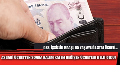 ASGARİ ÜCRETTEN SONRA KALEM KALEM DEĞİŞEN ÜCRETLER BELLİ OLDU!