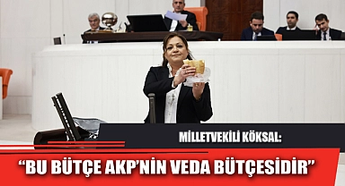 “BU BÜTÇE AKP’NİN VEDA BÜTÇESİDİR”