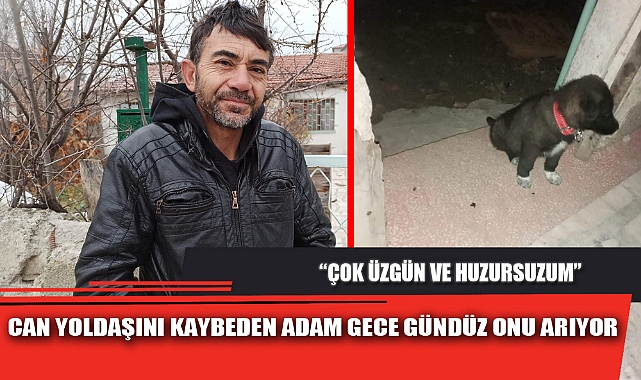 CAN YOLDAŞINI KAYBEDEN ADAM GECE GÜNDÜZ ONU ARIYOR
