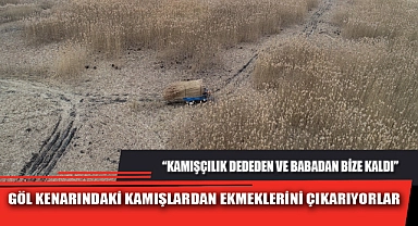GÖL KENARINDAKİ KAMIŞLARDAN EKMEKLERİNİ ÇIKARIYORLAR