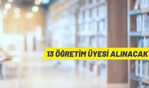 HAKKARİ ÜNİVERSİTESİ ÖĞRETİM ÜYESİ ALIM İLANI