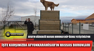 İŞTE KARŞINIZDA AFYONKARAHİSAR'IN HASSAS BURUNLARI