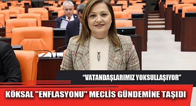 KÖKSAL "ENFLASYONU" MECLİS GÜNDEMİNE TAŞIDI