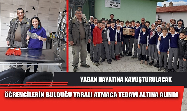 ÖĞRENCİLERİN BULDUĞU YARALI ATMACA TEDAVİ ALTINA ALINDI