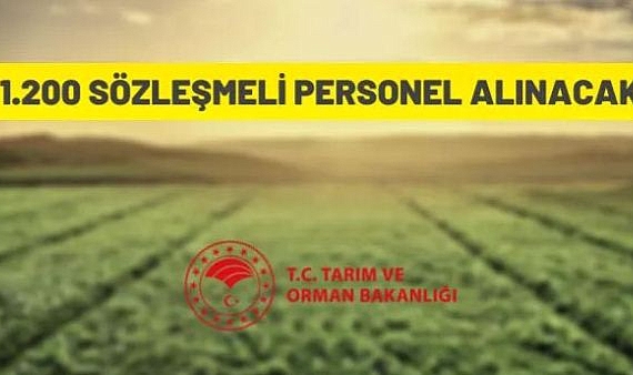SÖZLEŞMELİ PERSONEL ALINACAK