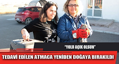 TEDAVİ EDİLEN ATMACA YENİDEN DOĞAYA BIRAKILDI