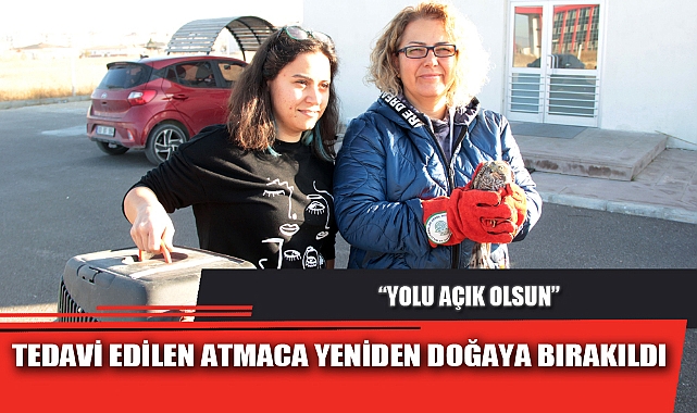 TEDAVİ EDİLEN ATMACA YENİDEN DOĞAYA BIRAKILDI