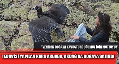 TEDAVİSİ YAPILAN KARA AKBABA, AKDAĞ’DA DOĞAYA SALINDI