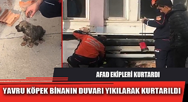 YAVRU KÖPEK BİNANIN DUVARI YIKILARAK KURTARILDI