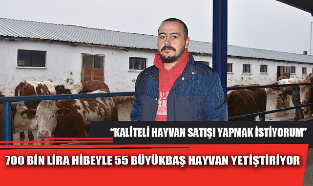 700 BİN LİRA HİBEYLE 55 BÜYÜKBAŞ HAYVAN YETİŞTİRİYOR