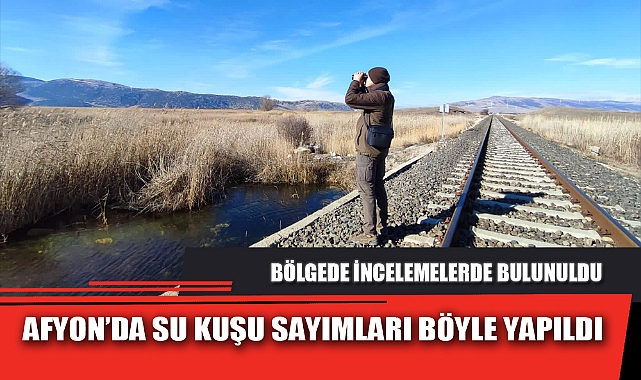AFYON’DA SU KUŞU SAYIMLARI BÖYLE YAPILDI