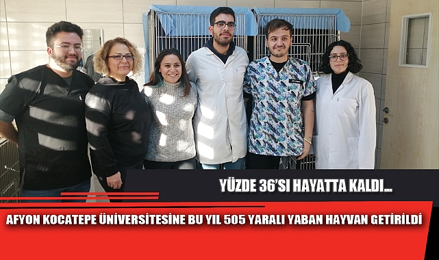 AFYON KOCATEPE ÜNİVERSİTESİNE BU YIL 505 YARALI YABAN HAYVAN GETİRİLDİ