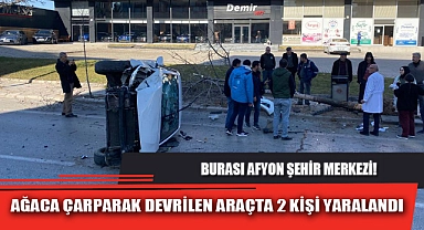 AĞACA ÇARPARAK DEVRİLEN ARAÇTA 2 KİŞİ YARALANDI