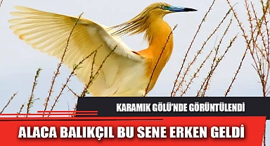 ALACA BALIKÇIL BU SENE ERKEN GELDİ