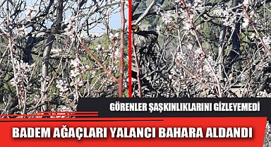 BADEM AĞAÇLARI YALANCI BAHARA ALDANDI