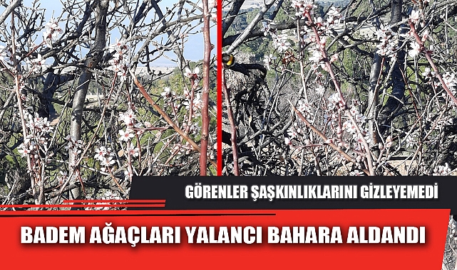 BADEM AĞAÇLARI YALANCI BAHARA ALDANDI