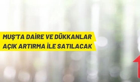 DAİRE VE DÜKKÂNLAR AÇIK ARTIRMA İLE SATILIYOR