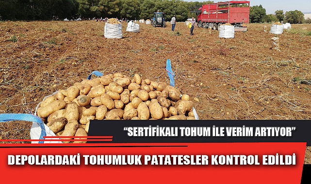 DEPOLARDAKİ TOHUMLUK PATATESLER KONTROL EDİLDİ