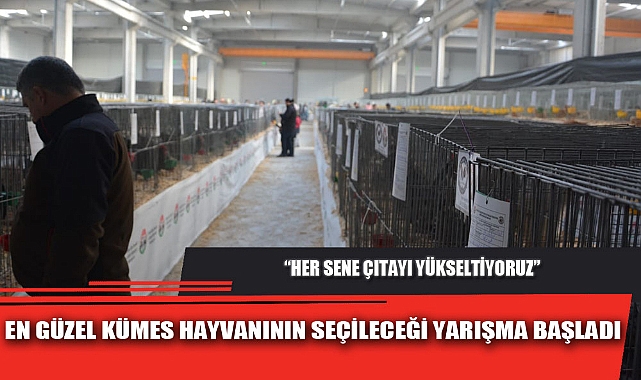 EN GÜZEL KÜMES HAYVANININ SEÇİLECEĞİ YARIŞMA BAŞLADI