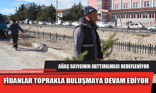 FİDANLAR TOPRAKLA BULUŞMAYA DEVAM EDİYOR