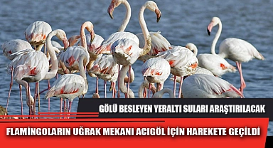 FLAMİNGOLARIN UĞRAK MEKANI ACIGÖL İÇİN HAREKETE GEÇİLDİ