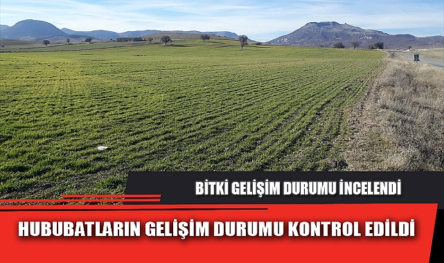 HUBUBATLARIN GELİŞİM DURUMU KONTROL EDİLDİ