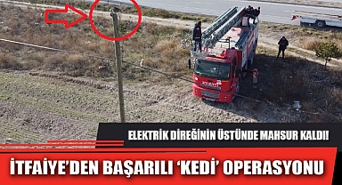 İTFAİYE’DEN BAŞARILI ‘KEDİ’ OPERASYONU