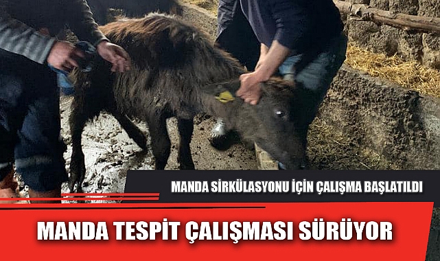 MANDA TESPİT ÇALIŞMASI SÜRÜYOR